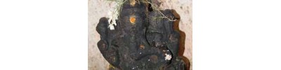 தரப்பாக்கம்